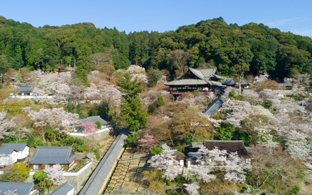 Hasedera Temple in Nara is known as a temple of flowers