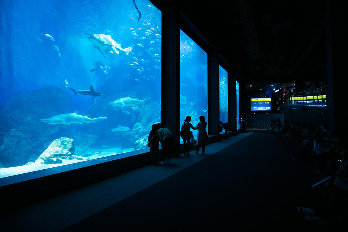 A private aquarium party in front of the large fish tank of Marine World