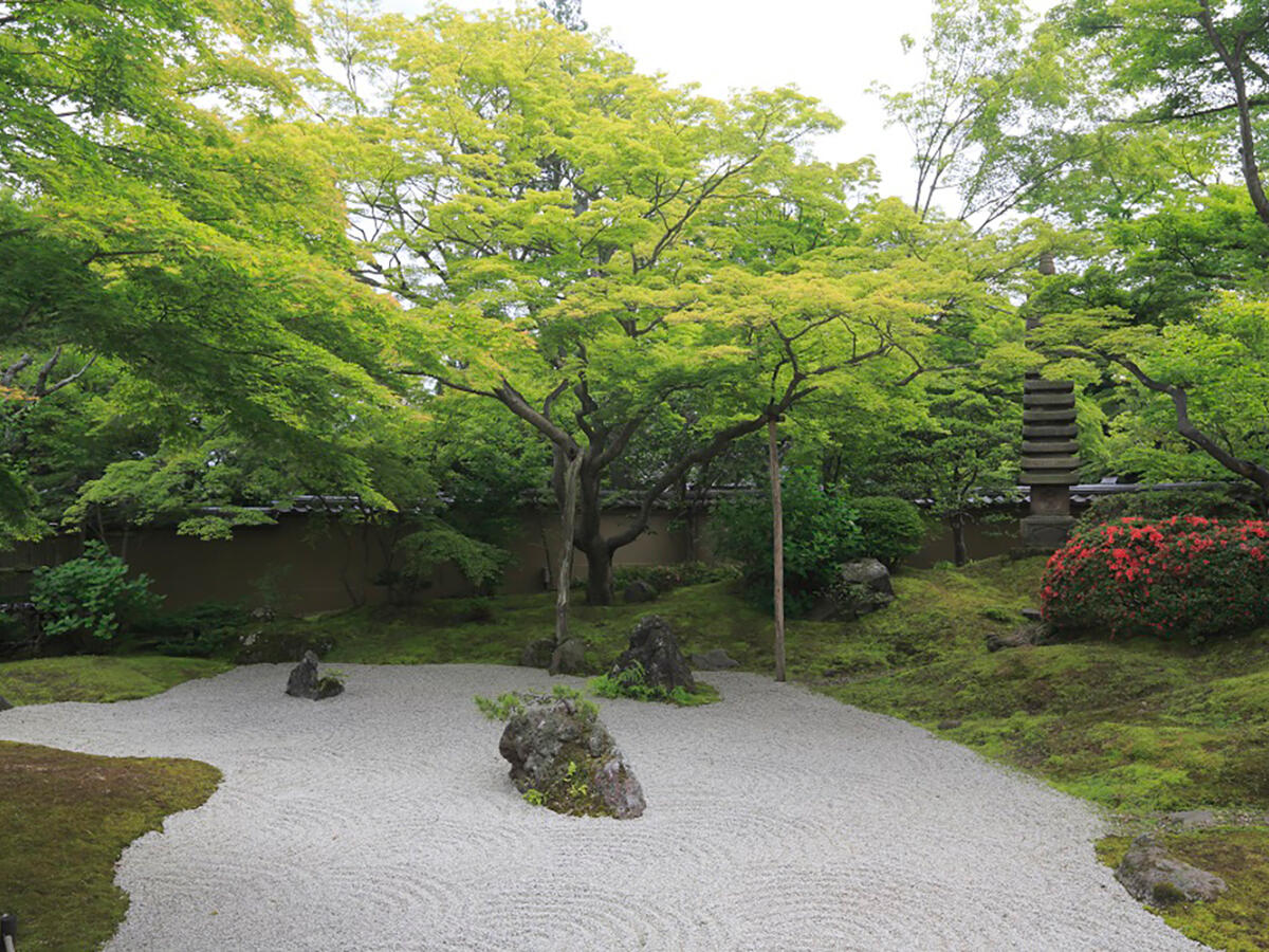 在日本三大名胜之一松岛举行聚会，眺望美丽庭园并感受四季美景 圆通院