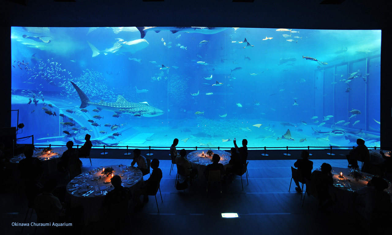 Explore the wonders of the sea at Okinawa Churaumi Aquarium