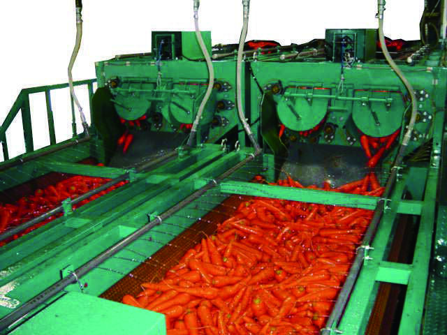 Carrot Washer (Fe System Works)